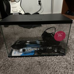 5 Gallon Fish Tank Set Up 