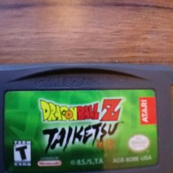 Dragonball z taiketsu nintendo
