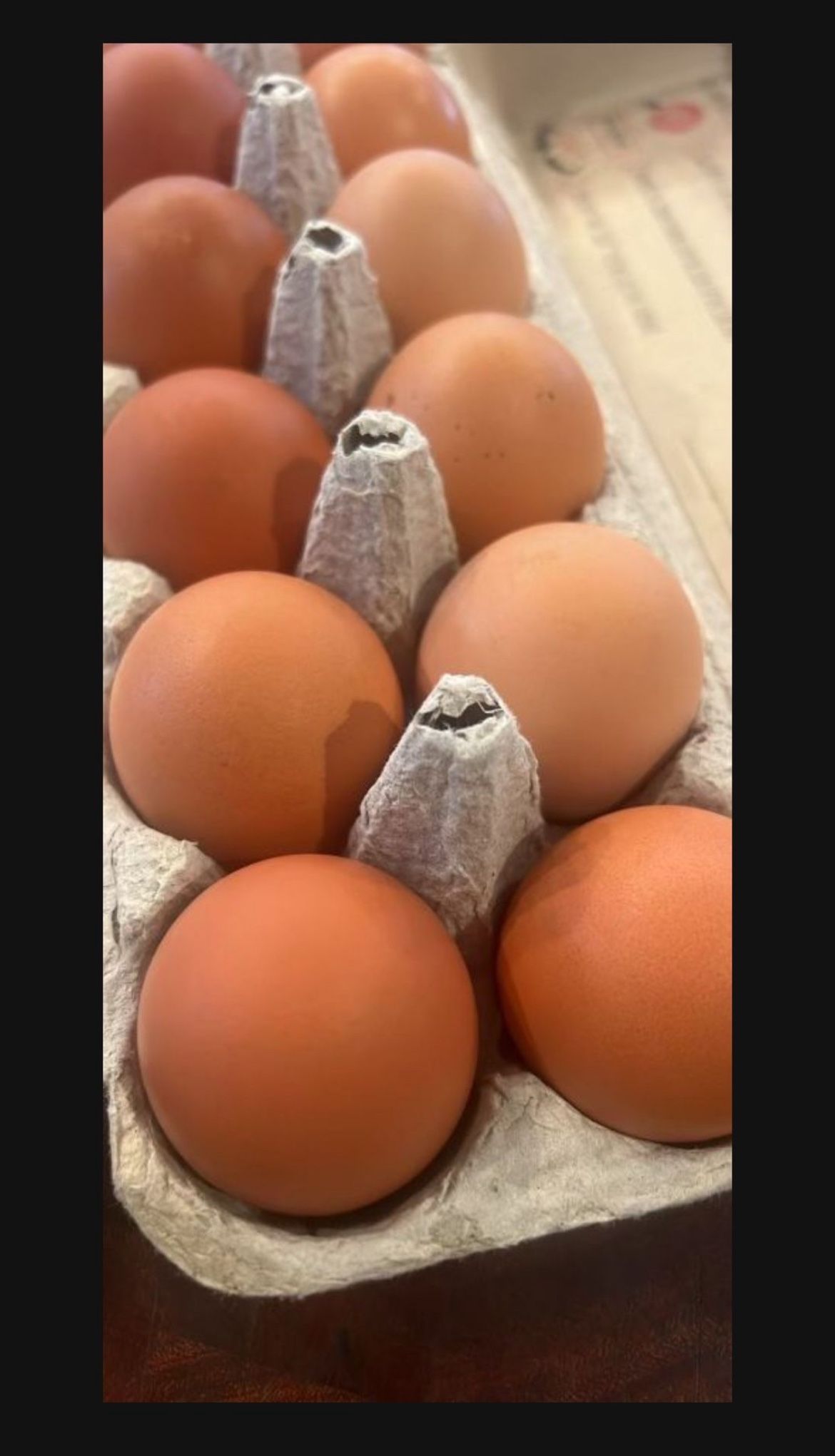 Farm Eggs