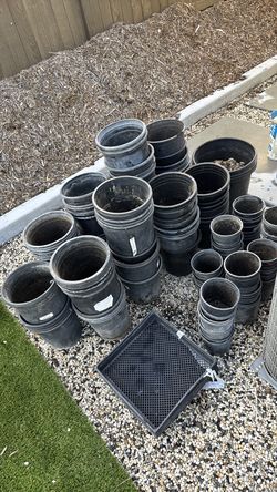 Plastic Plant Pots
