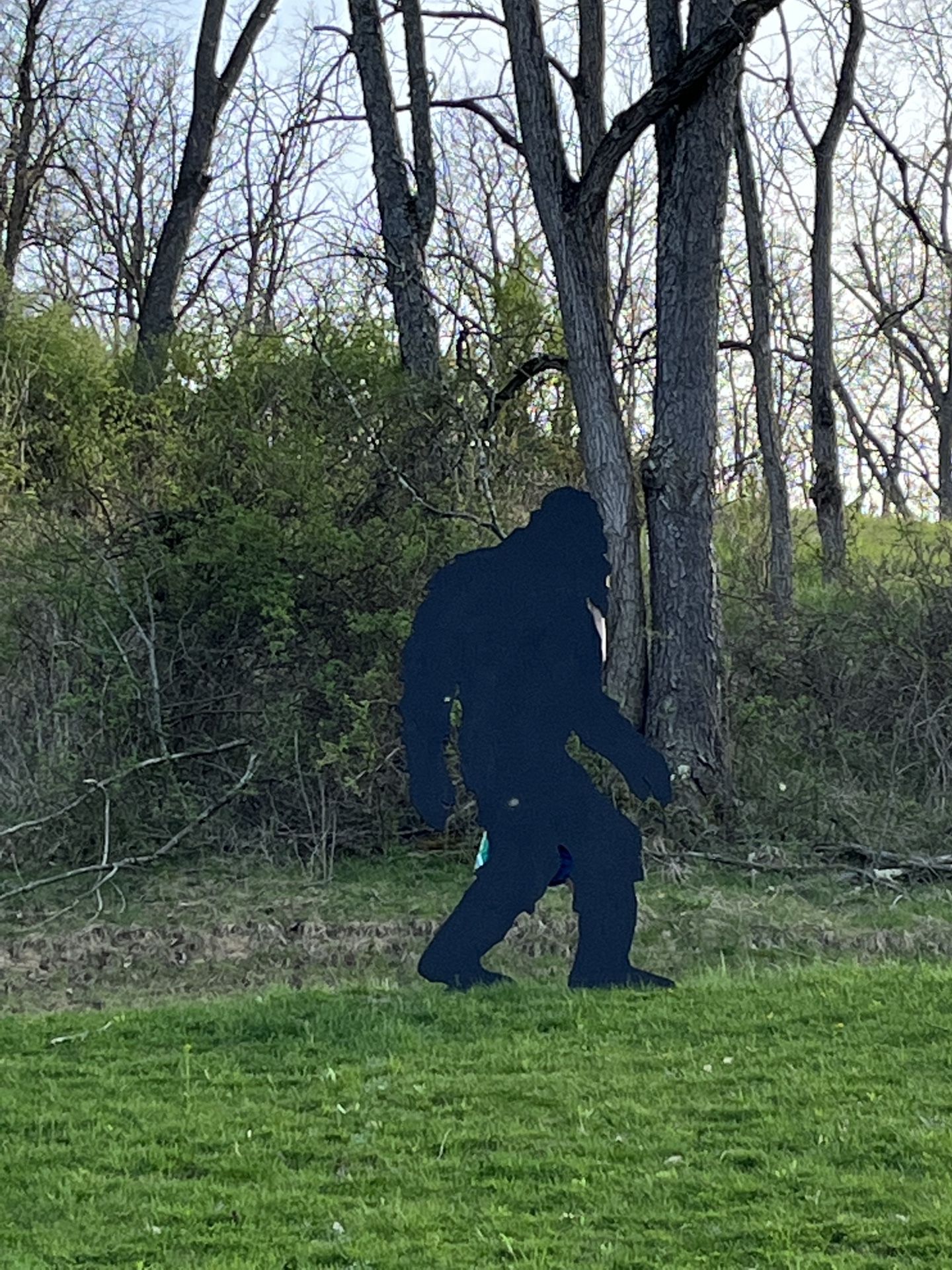 Big Foot