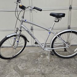 Specialized Expedition Large Frame