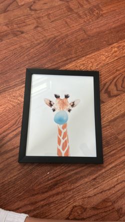 Baby giraffe blowing bubblegum
