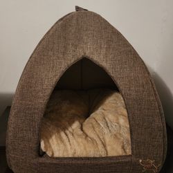 Dog Tent 