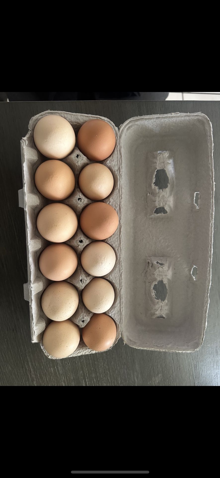 Eggs