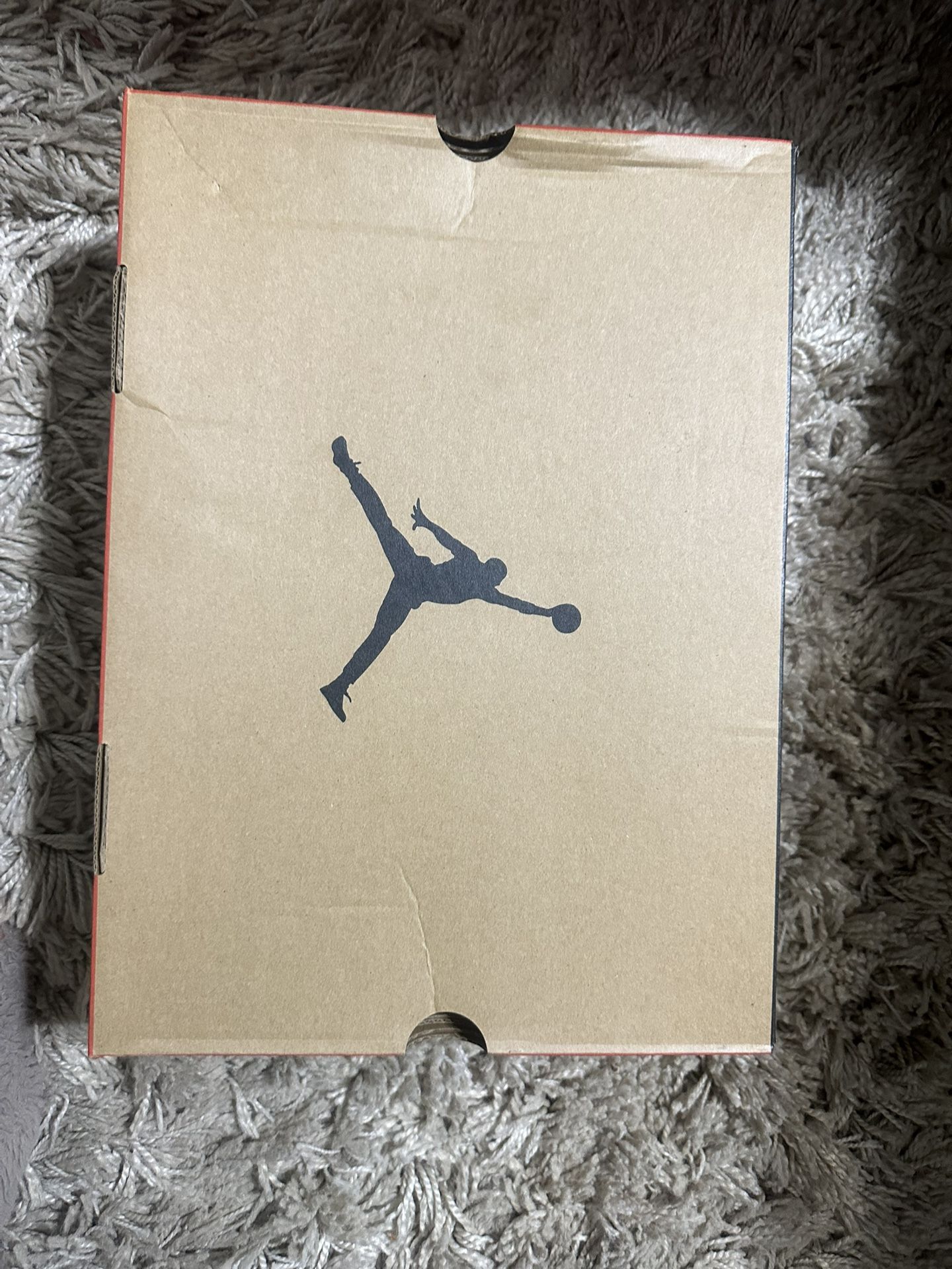 Jordan 12 Retro Size 12