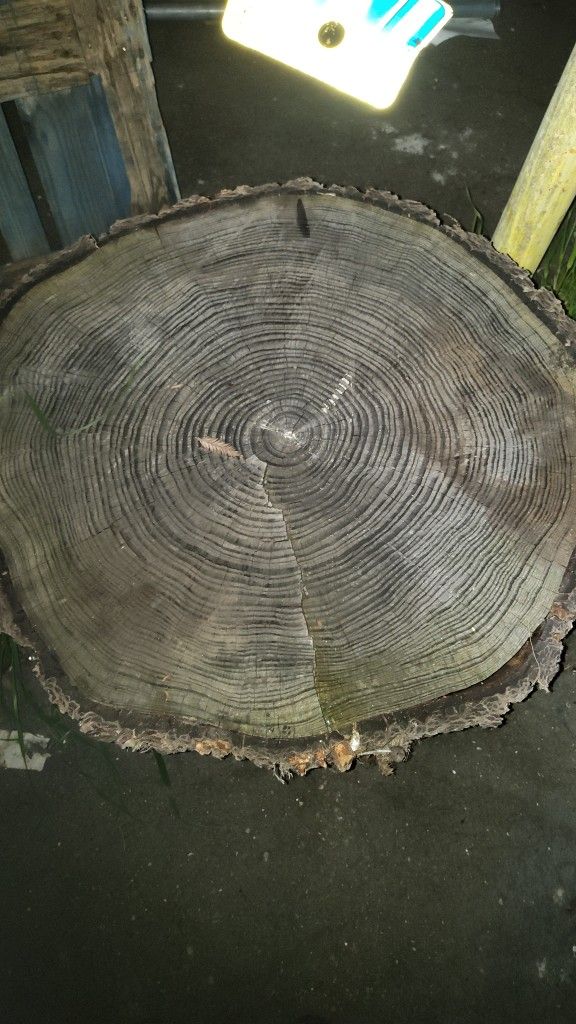 There's 3 Stumps