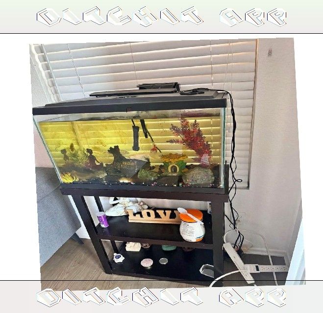 soon agree All-Set Aquarium Package - Discover Water World Magic