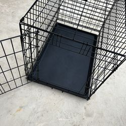 Black Dog Cage 