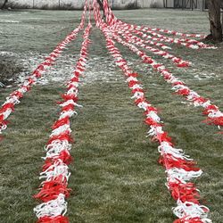 Fringe Streamer For Parking Lot