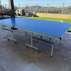 Ping Pong Table 
