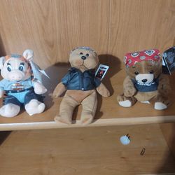 3 Harley Bears
