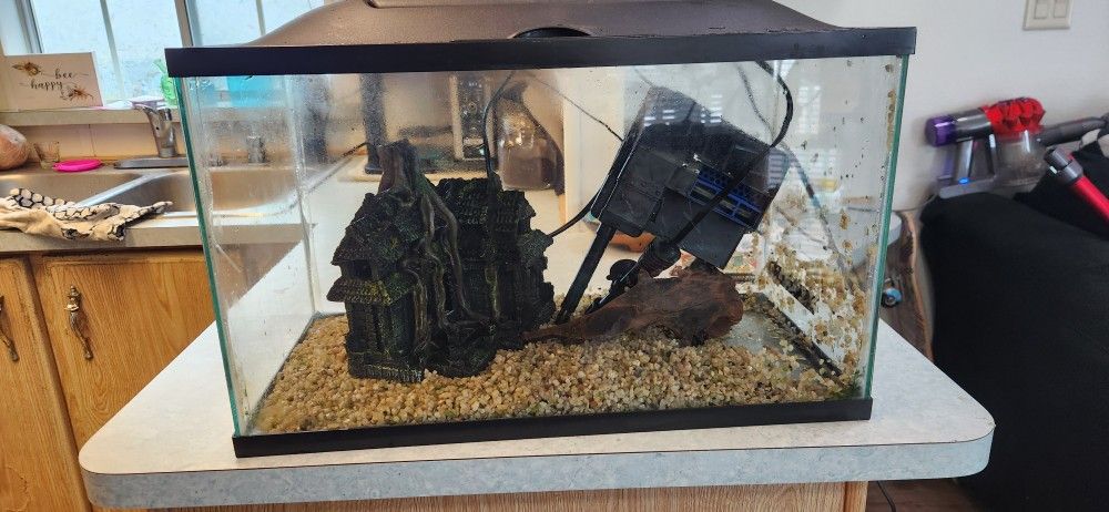 10 Gal Aquarium
