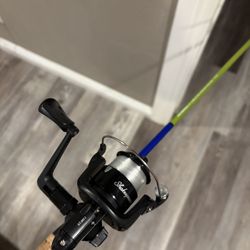 Fishing Rod 