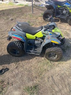 Polaris quads