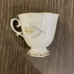 Vintage 1900s PT Bavaria Germany Tirschenreuth China Coffee Set 