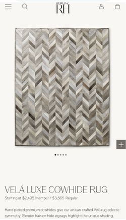 Restoration Hardware RH Vela Rug 9x12