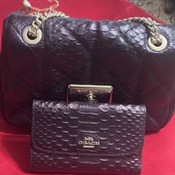 Authentic New Coach Purse with Matching Pocket 