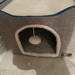 Cat Cave 