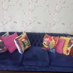Blue Couch