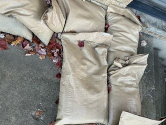 Filled Sandbags New