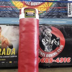 Punching Bag 