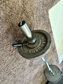 Curling bar with Olympic 25 pound weights