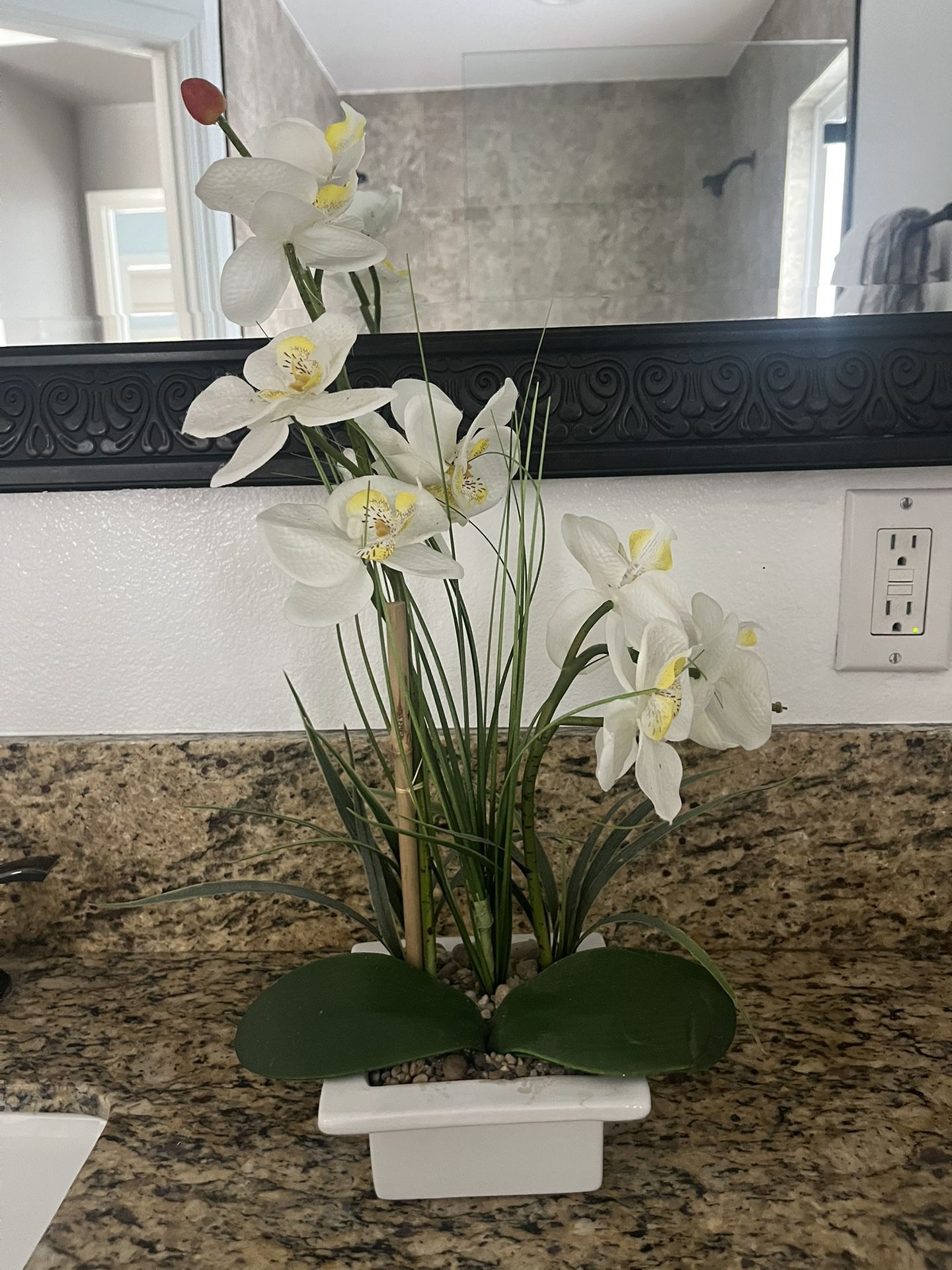 Fake Plant