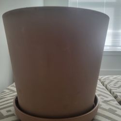 Plant Pot
