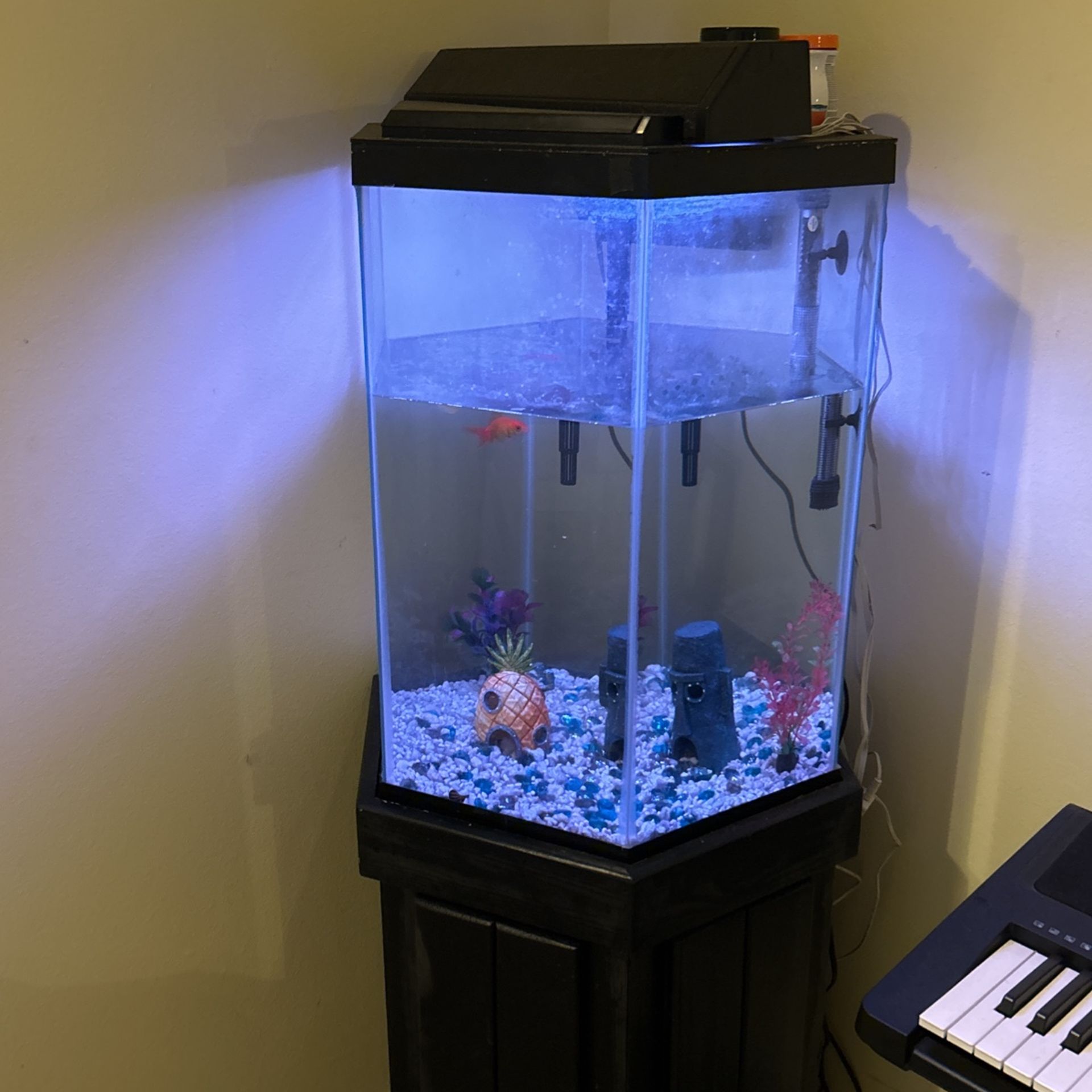 30 Gallon Fish Tank