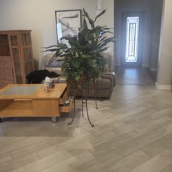 Plants (Artificial) And Vases