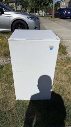 White Avanti RM3306W mini refrigerator