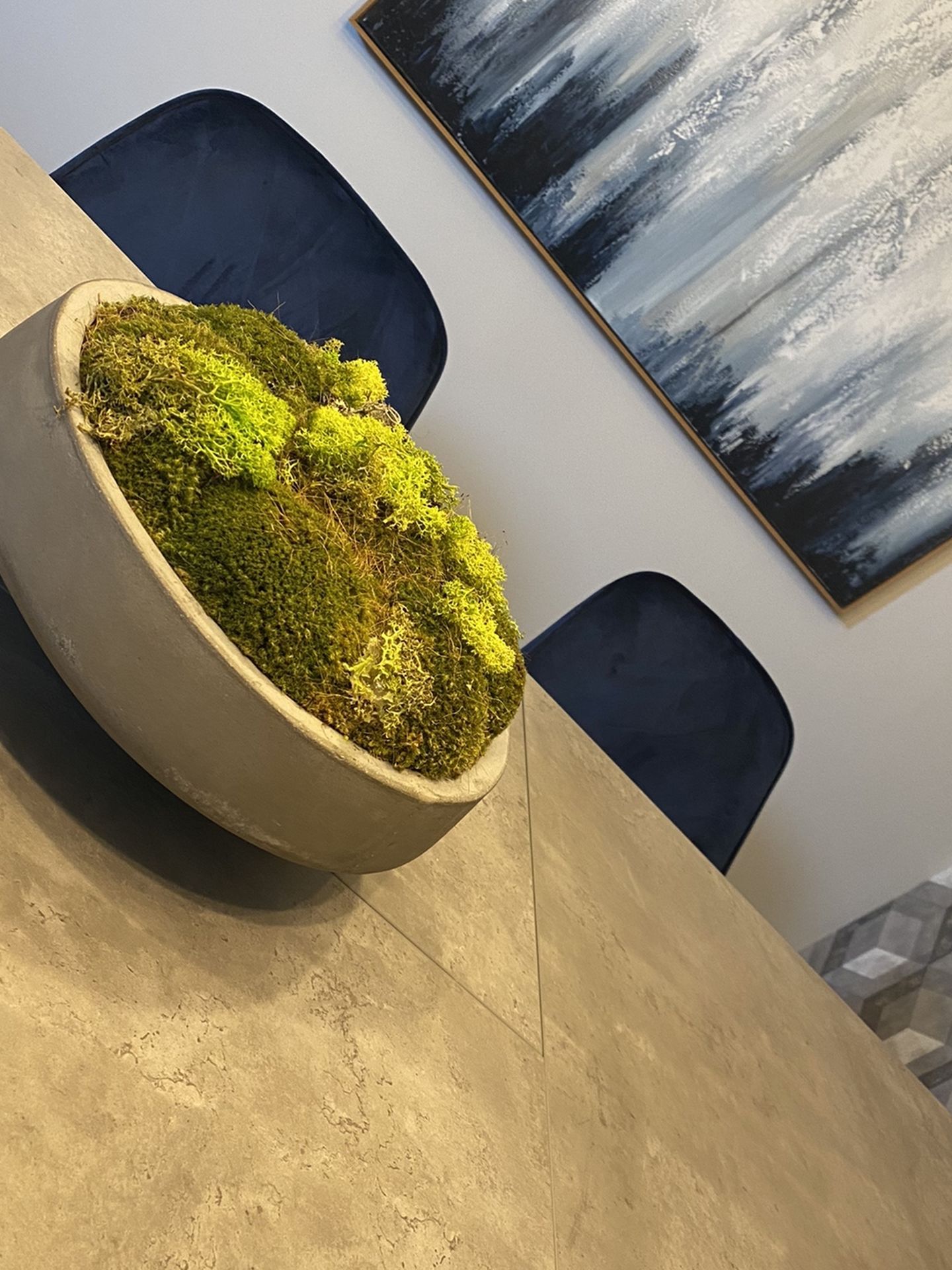 Moss in Stone Bowl