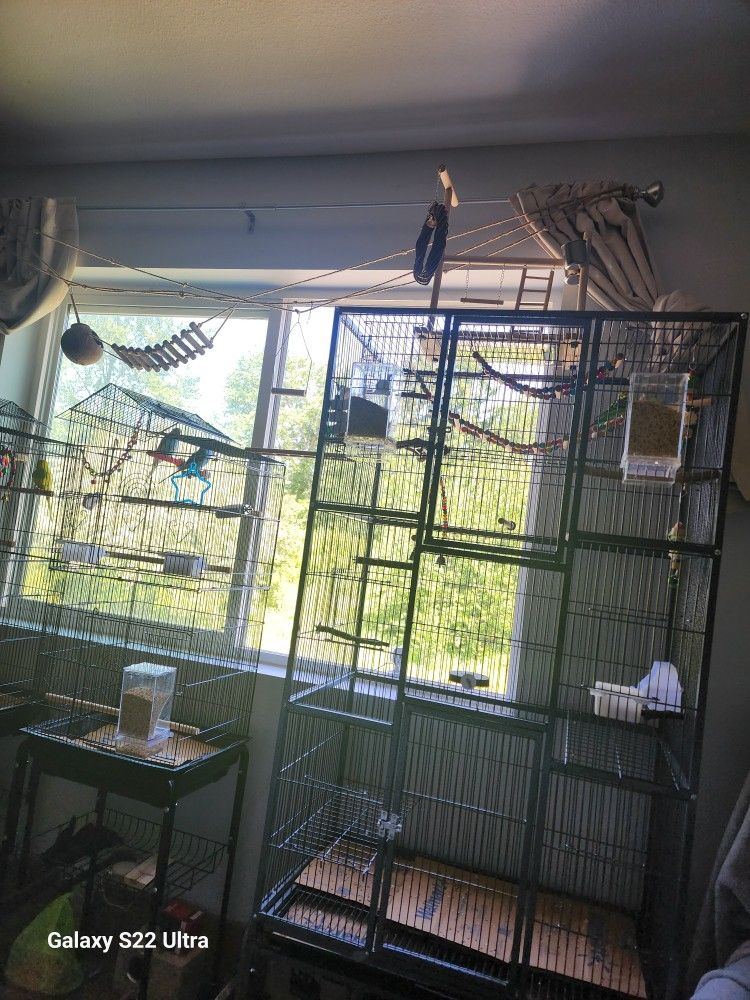 Free Bird Cage
