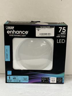 Feit LED 5”-6” Retrofit