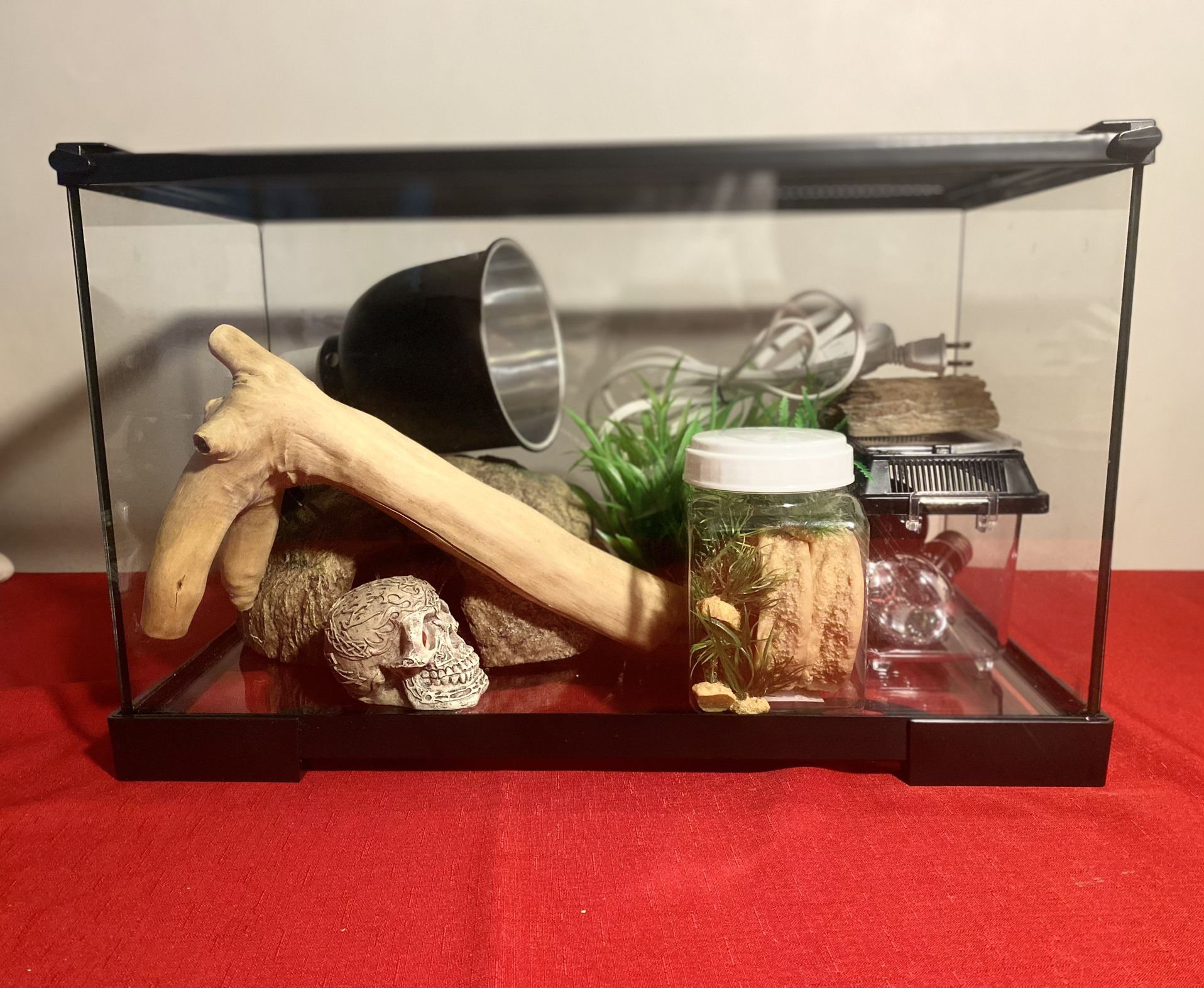 Thrive Desert Reptile Terrarium Essentials Kit - 10G