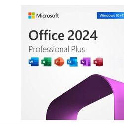 Microsoft Office Professional PC