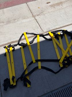 Speed and agility ladder
