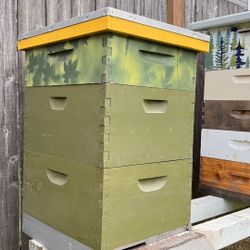 Bee Hive