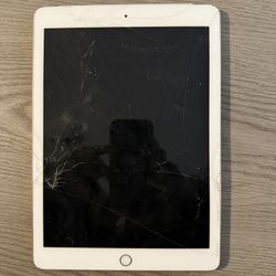 Cellular iPad