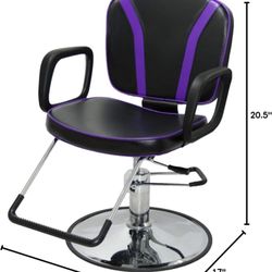 Salon Chair 
