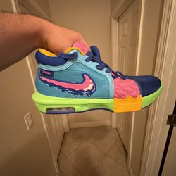 Nike LeBron James Shoes