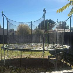 Trampoline