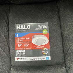 Halo.  (Direct Ceiling Mount ). LED Light 