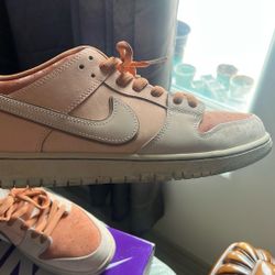 Nike Sb Trocadero Gardens 