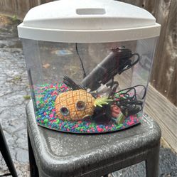 Small Fish Tank 