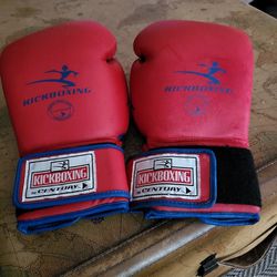 Century 14oz Kickboxing Gloves