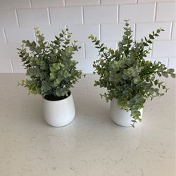 Two Artificial Plants In White Pots