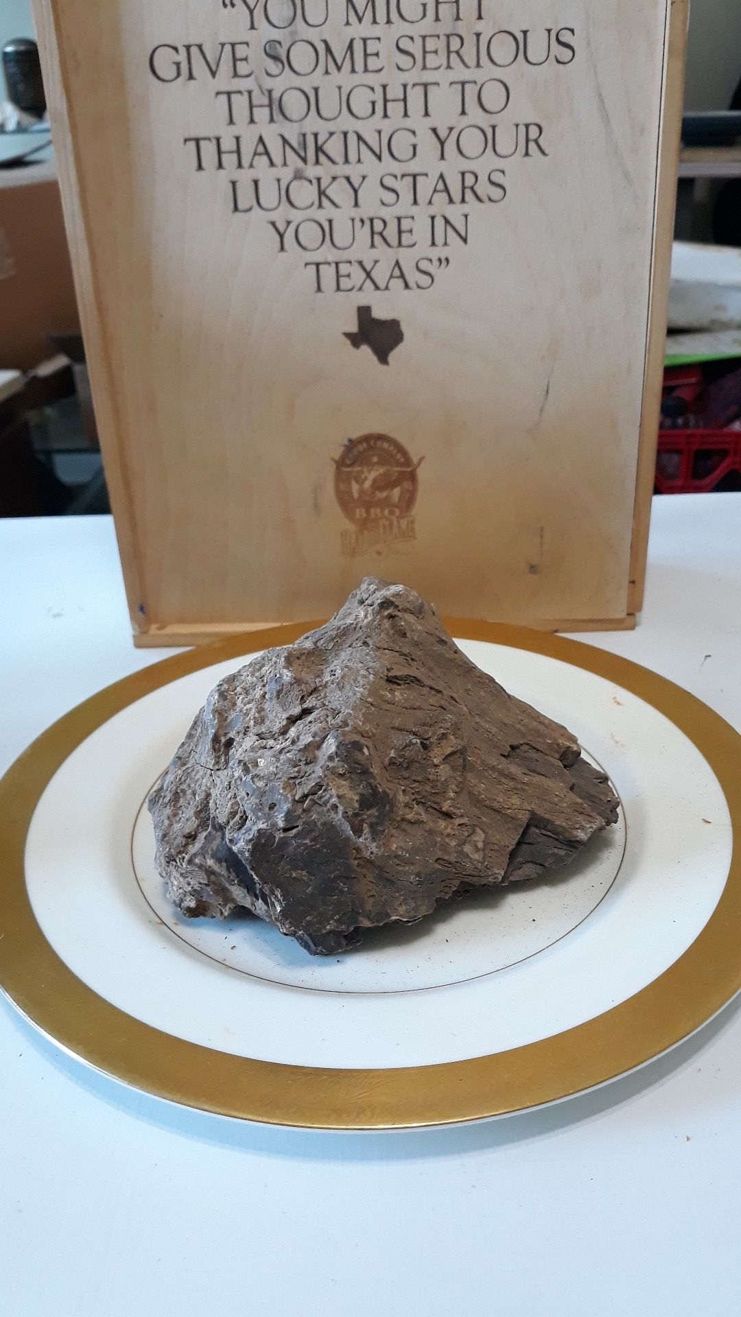 Petrified Wood