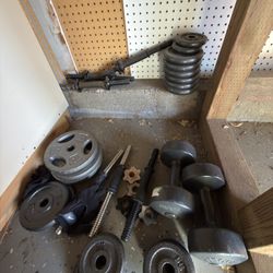dumbbells / weights